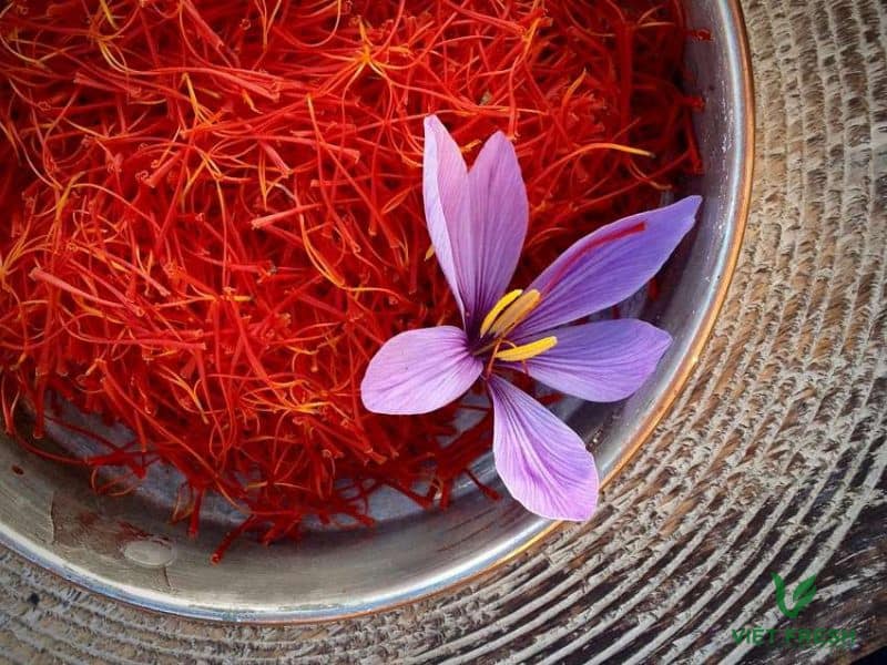 Đôi nét về nguồn gốc của saffron