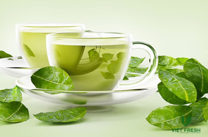 trà xanh hỗ trợ tim mạch 