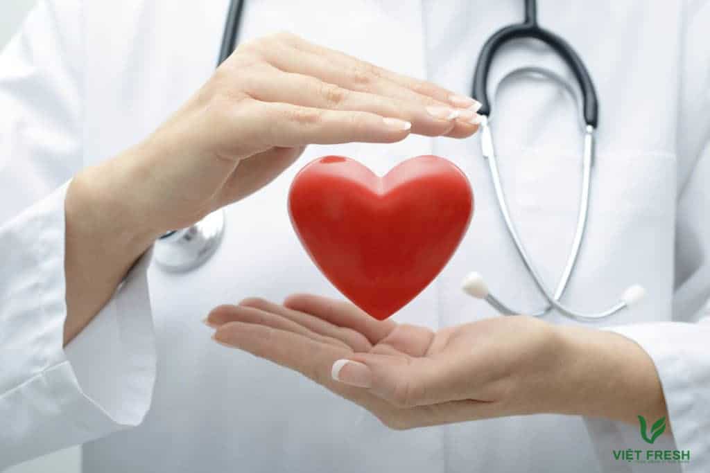 Các bác sĩ tim mạch khuyên dùng phổ tai 