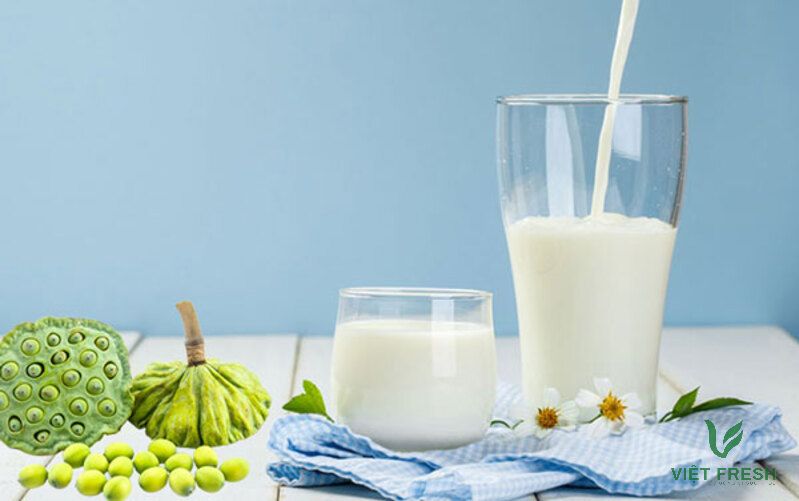 Uống sữa hạt sen có tác dụng gì?