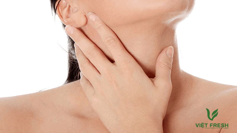 Phổ tai có nhiều i-ốt trị bệnh bướu cổ